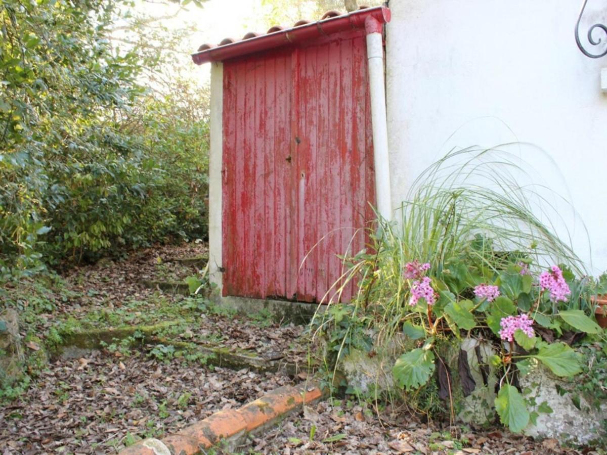 Maison 2 Pieces A Saint-Pierre-D'Oleron, 4 Couchages, Proche Plage, Grand Jardin, Veranda, Calme - Fr-1-246A-367 Villa La Cotinière Buitenkant foto